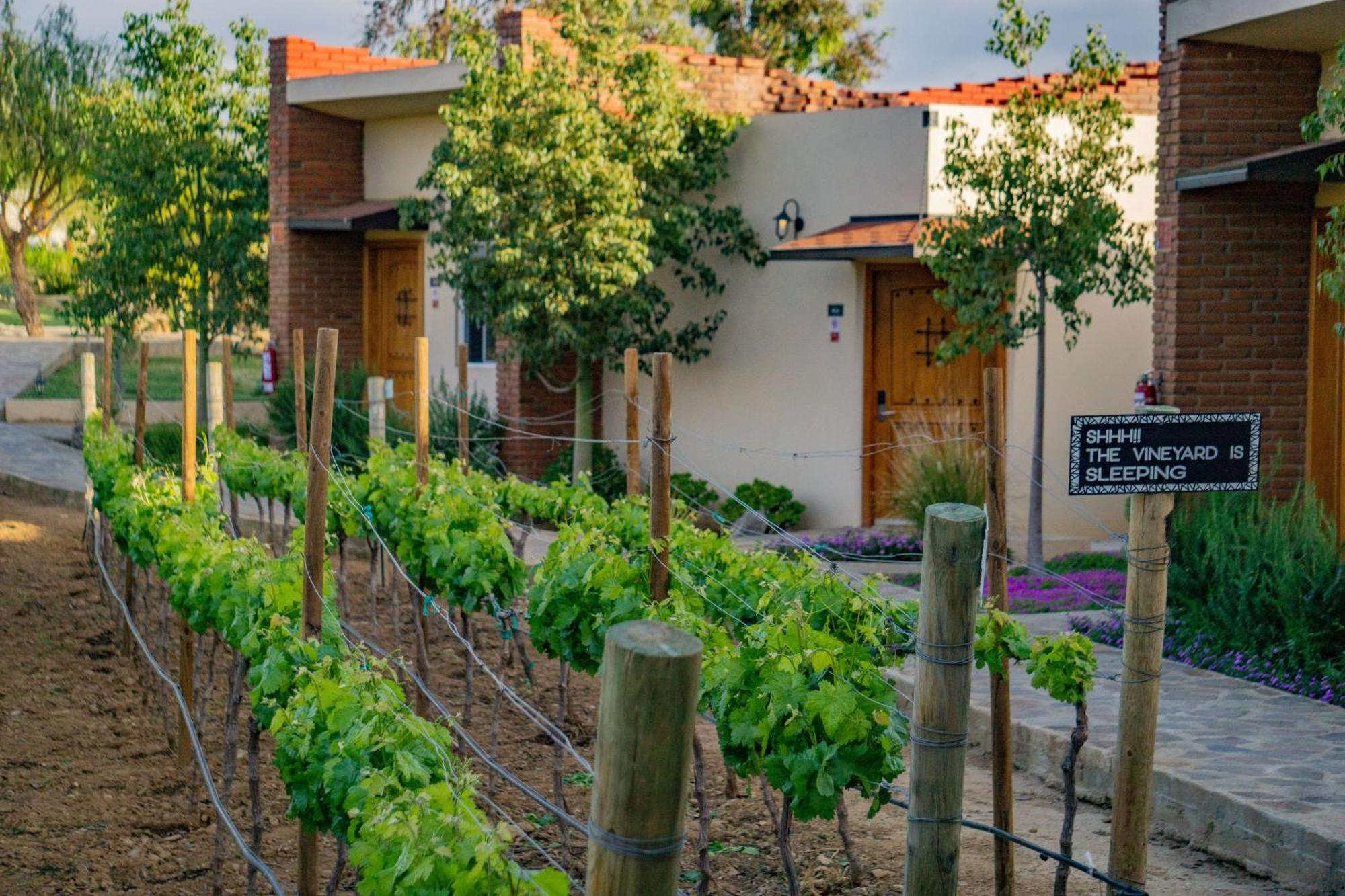 Ojo Azul Resort Valle de Guadalupe Exterior photo